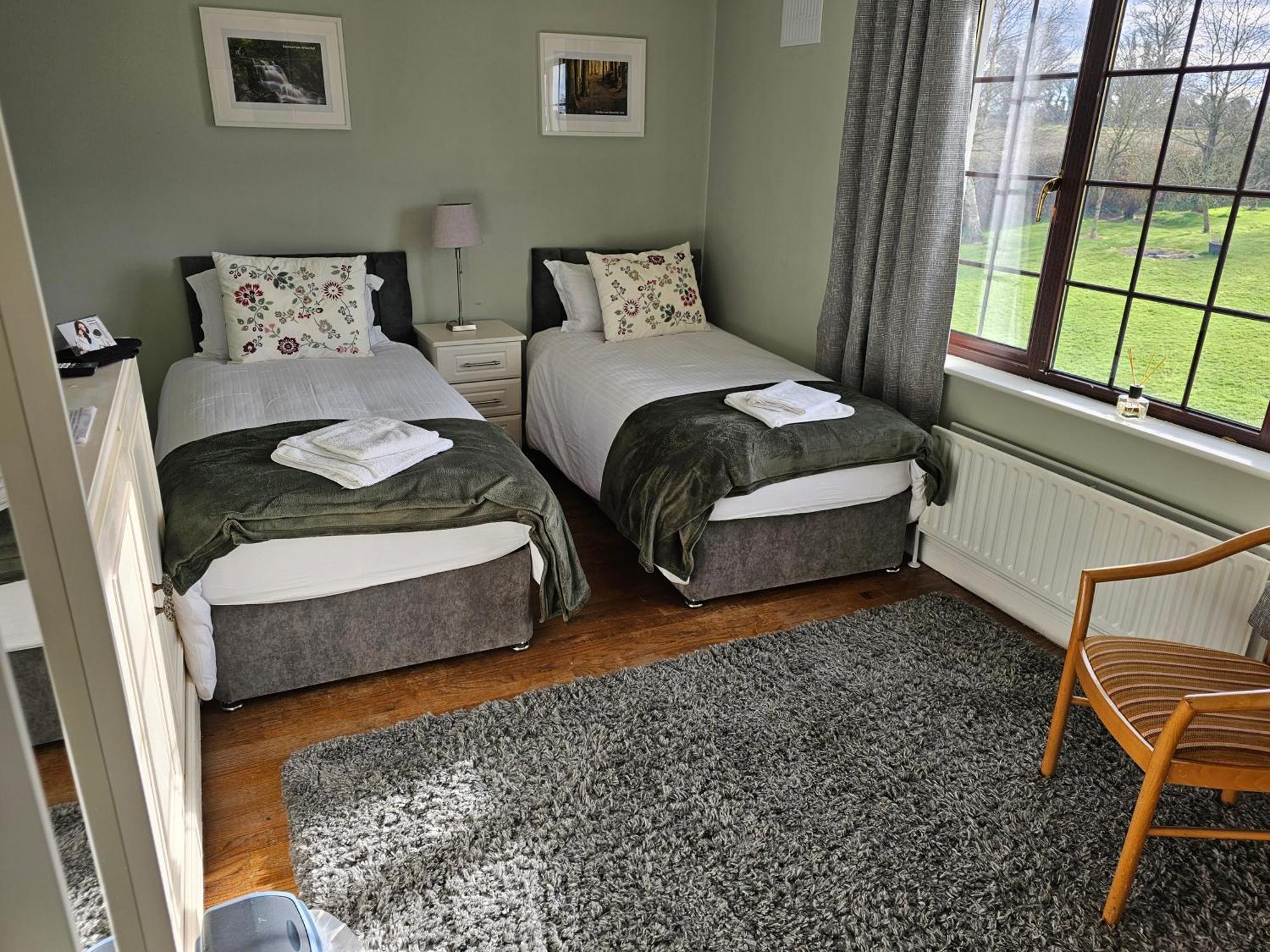 Oak House Laois B&B Портарлінгтон Екстер'єр фото