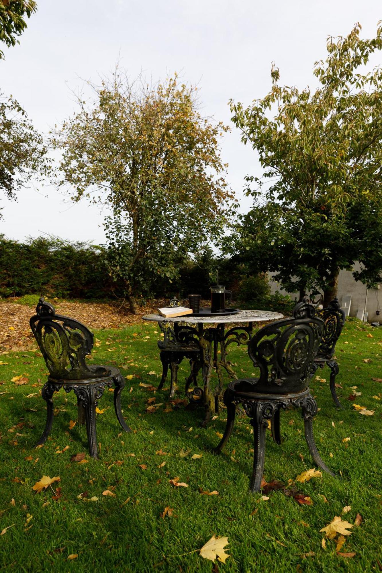 Oak House Laois B&B Портарлінгтон Екстер'єр фото