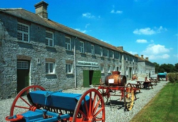 Oak House Laois B&B Портарлінгтон Екстер'єр фото