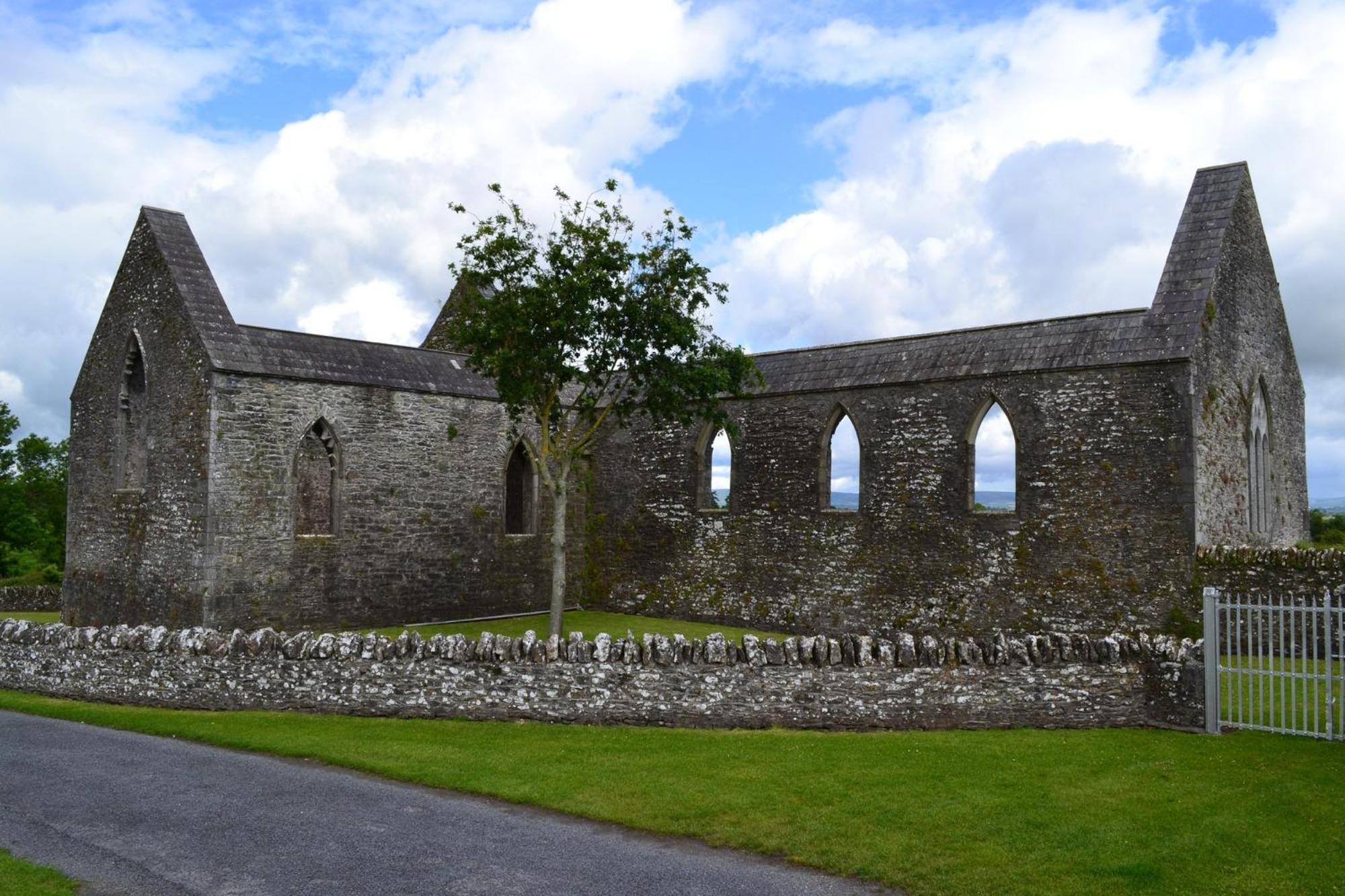Oak House Laois B&B Портарлінгтон Екстер'єр фото