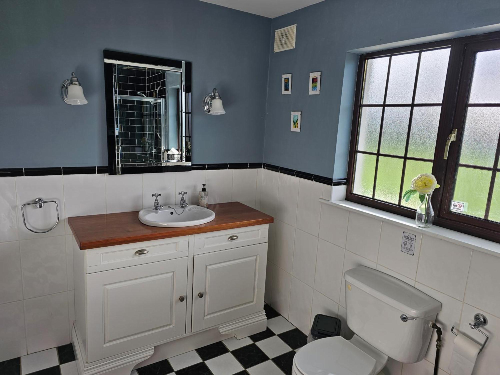 Oak House Laois B&B Портарлінгтон Екстер'єр фото